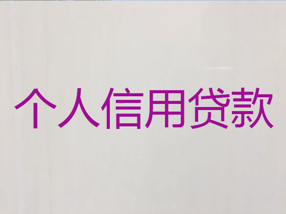 恩施抵押贷款公司-银行信用贷款